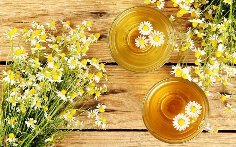 Chiết xuất từ hoa cúc