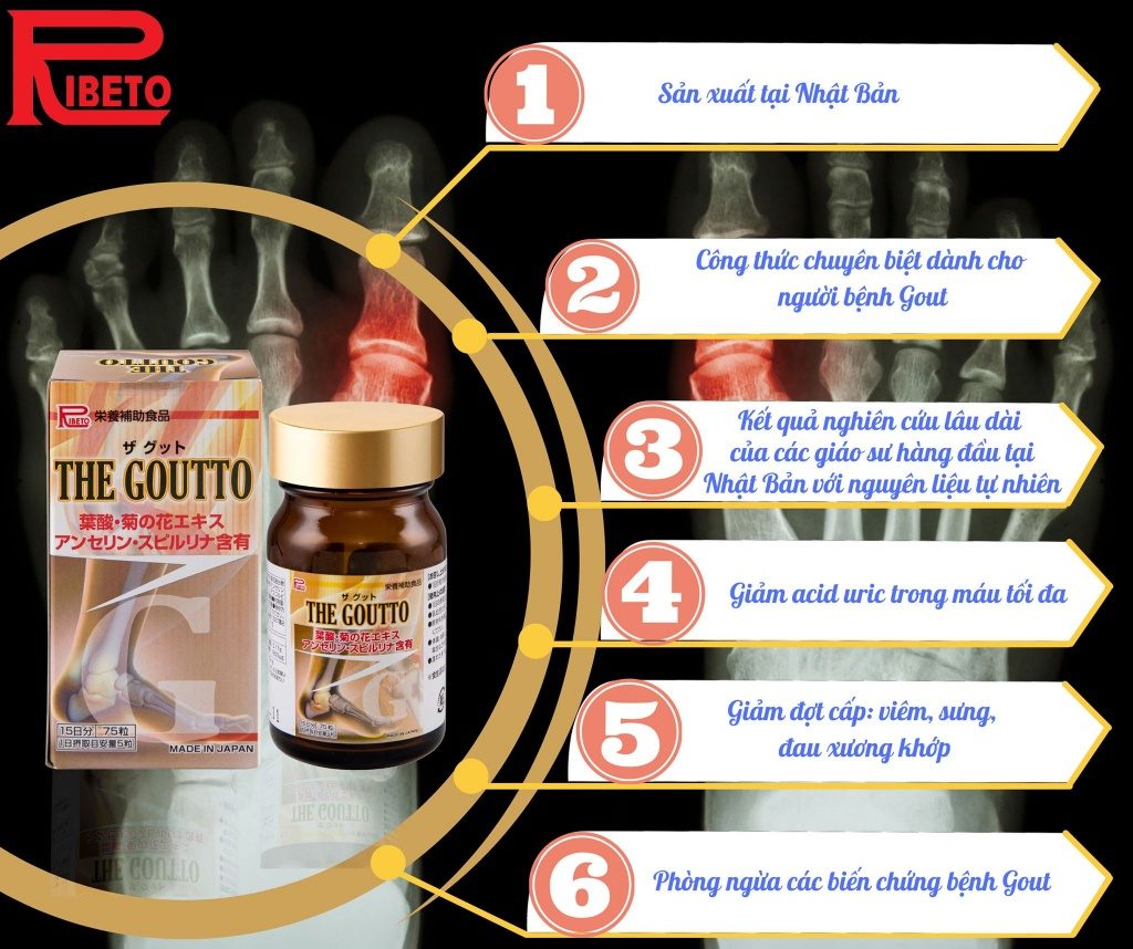 THE GOUTTO – Giải pháp cho người bệnh gout