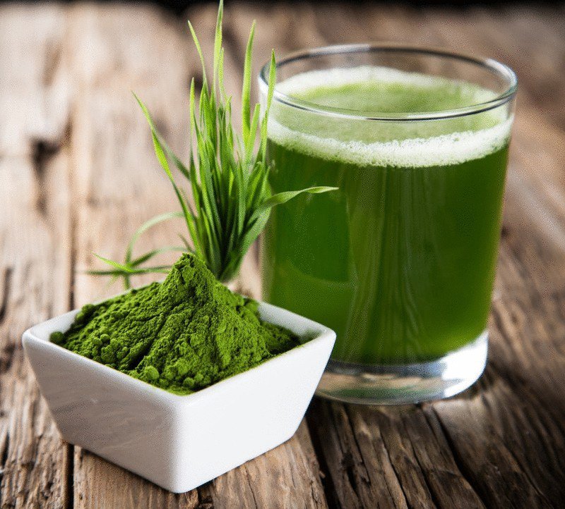 10 lợi ích tuyệt vời của tảo xoắn Spirulina đối với sức khỏe
