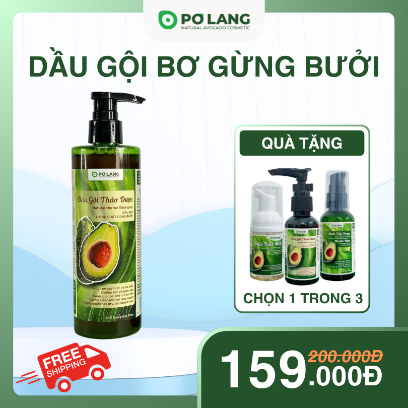 Dầu Gội Thảo Dược Pơ Lang Giảm Rụng Tóc Tinh Chất Bơ Gừng Bưởi 300g