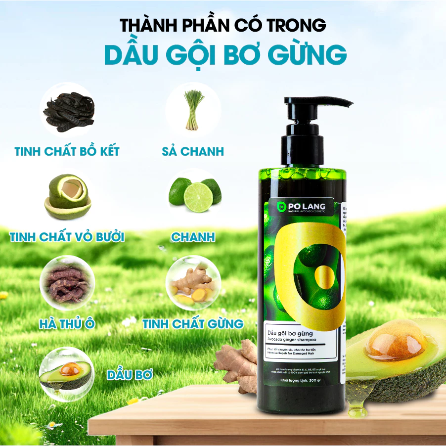 Dầu gội thảo mộc Bơ Gừng Bạc Hà Pơ Lang (1)