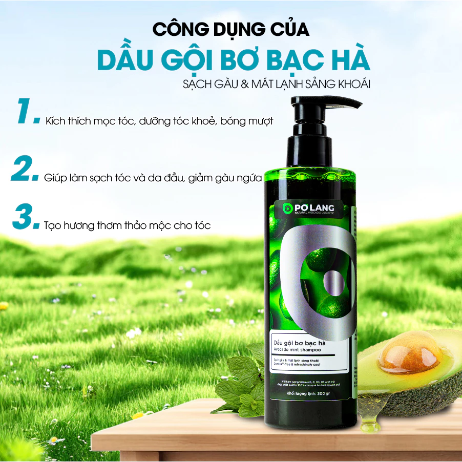 Dầu gội thảo mộc Bơ Gừng Bạc Hà Pơ Lang (3)