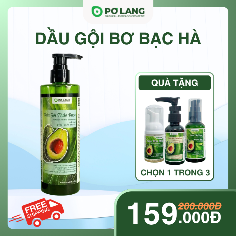 Dầu Gội Thảo Dược Pơ Lang Giảm Rụng Tóc Tinh Chất Bơ Bạc Hà 300g
