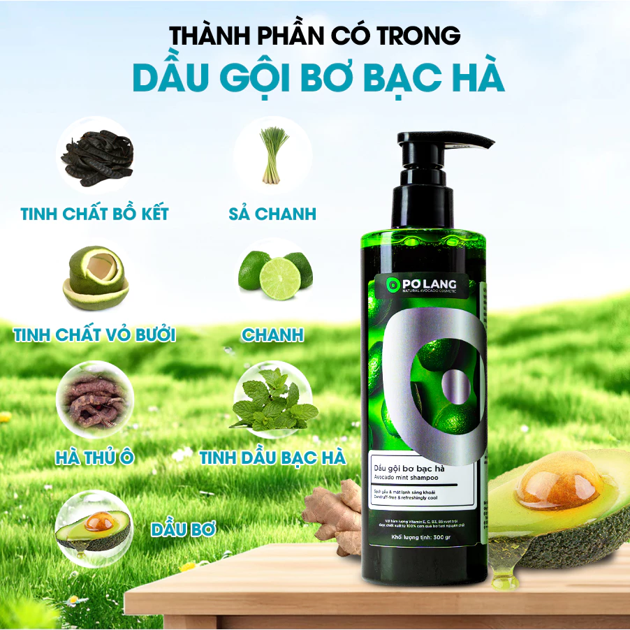Dầu gội thảo mộc Bơ Bạc Hà Pơ Lang (2)